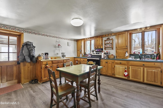 kitchen with sink, light wood-type flooring, and electric stove