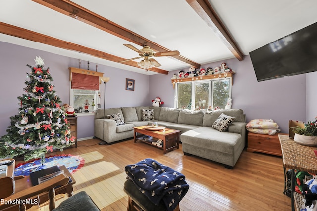 living room with beam ceiling, light hardwood / wood-style flooring, and ceiling fan