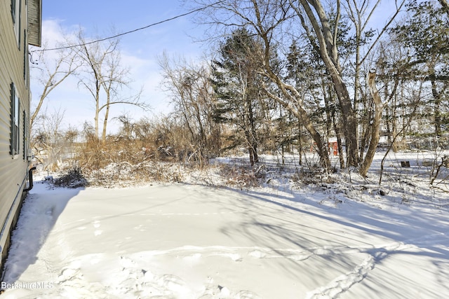 view of yard layered in snow