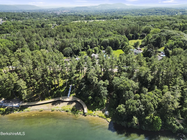 83 Hancock Rd, Pittsfield, MA 01201 - aerial view of a forest and a water and mountain view