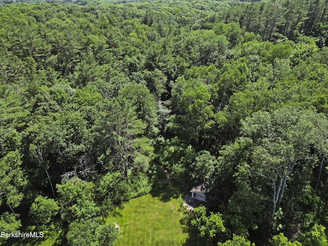 83 Hancock Rd, Pittsfield, MA 01201 - aerial view of a heavily wooded area