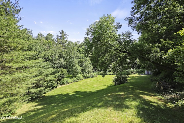 83 Hancock Rd, Pittsfield, MA 01201 - view of grassy yard