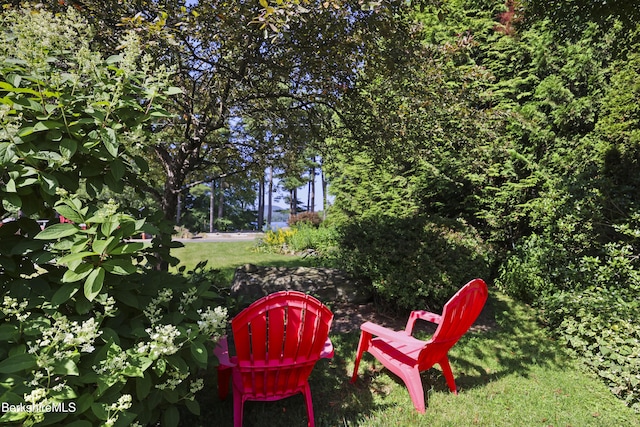 83 Hancock Rd, Pittsfield, MA 01201 - view of yard