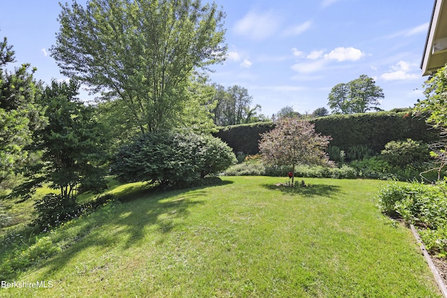 83 Hancock Rd, Pittsfield, MA 01201 - view of green lawn