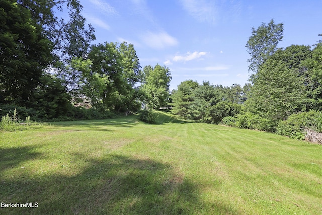 83 Hancock Rd, Pittsfield, MA 01201 - view of green lawn