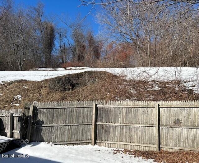 view of snowy yard