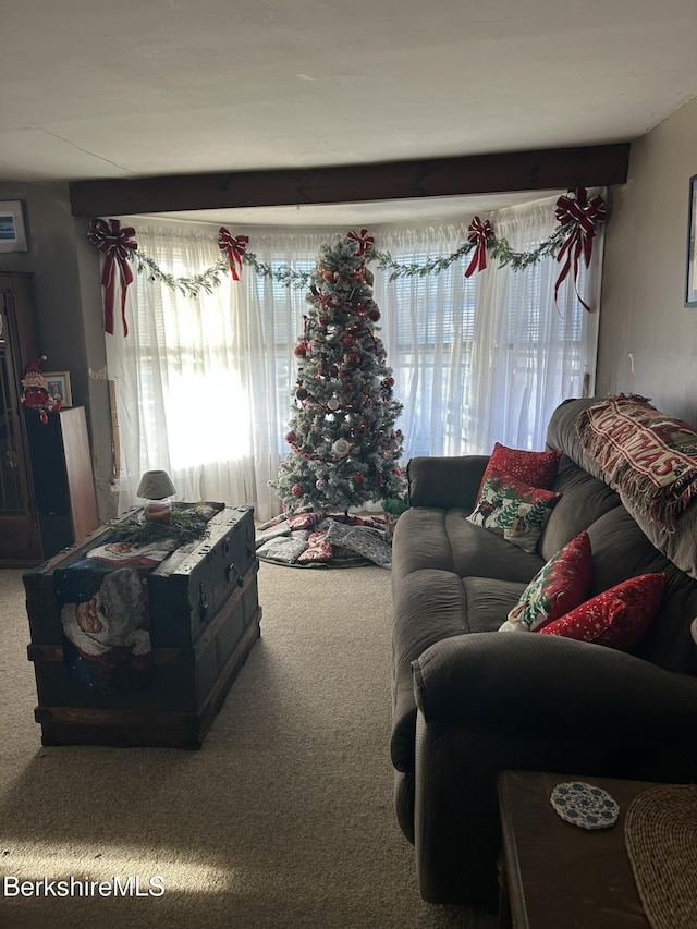 32 Williamsburg Rd, Worthington, MA 01098