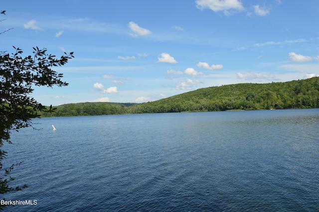 113 Iroquois Ave, Becket, MA 01223 - water view with a forest