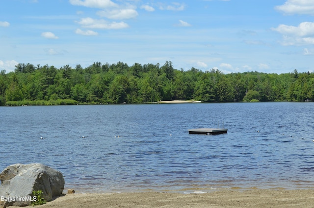 113 Iroquois Ave, Becket, MA 01223 - water view featuring a forest
