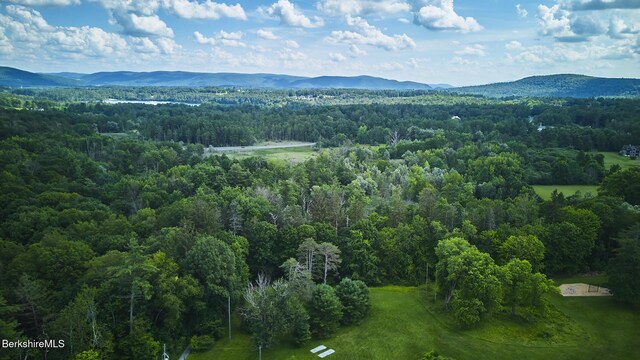165 Kemble St # 17, Lenox, MA 01240 - photo 4