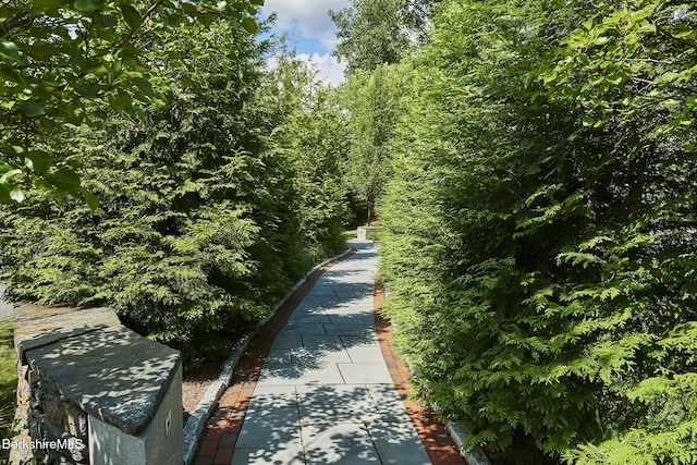 165 Kemble St # 17, Lenox, MA 01240 - photo 28