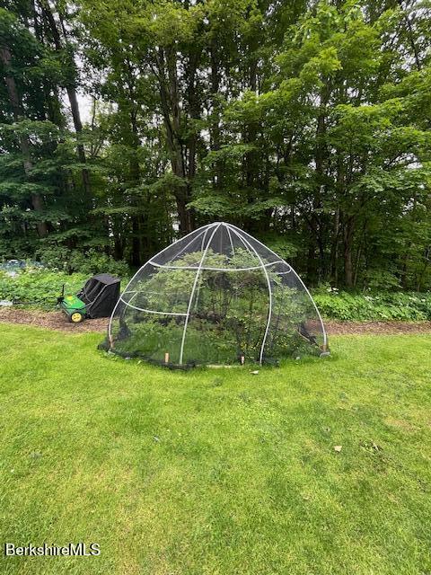60 Summer St, Lanesborough, MA 01237 - view of green lawn with a greenhouse