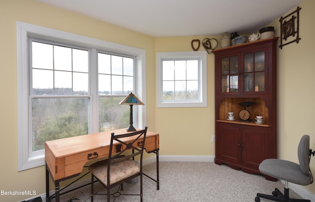 25 Alpine Trl, Pittsfield, MA 01201 - carpeted office with baseboards