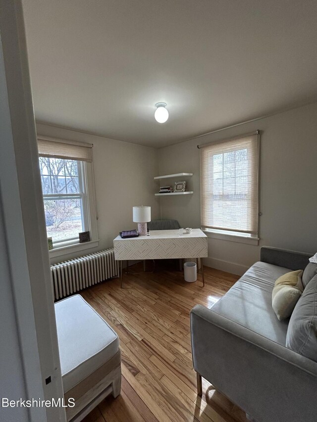 26 Manville St, Great Barrington, MA 01230 - bedroom featuring wood finished floors and radiator heating unit