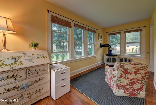 living area featuring radiator, wood finished floors, and baseboards