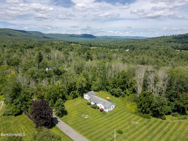 127 Old Joe Rd, Sheffield, MA 01257 - photo 36