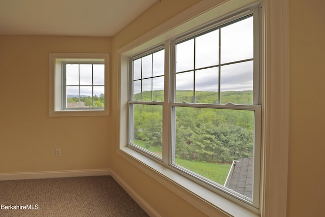 33 Alpine Trl, Pittsfield, MA 01201 - carpeted empty room featuring baseboards