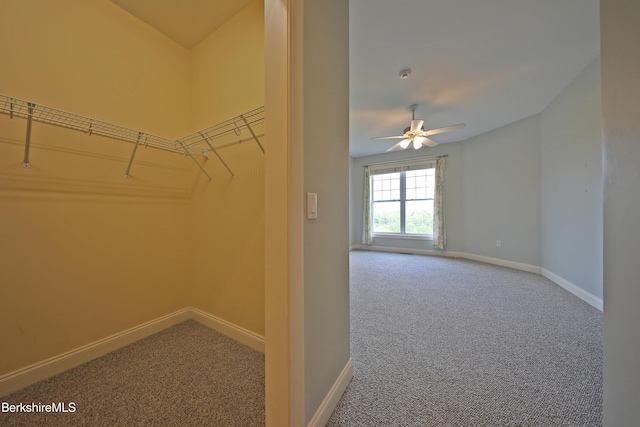 33 Alpine Trl, Pittsfield, MA 01201 - walk in closet with carpet flooring and a ceiling fan