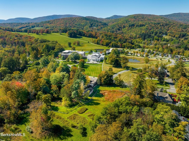 196 S St, Williamstown, MA 01267 - bird's eye view of a mountain backdrop and a forest