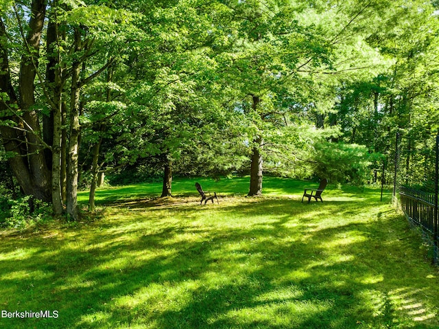 196 S St, Williamstown, MA 01267 - view of yard