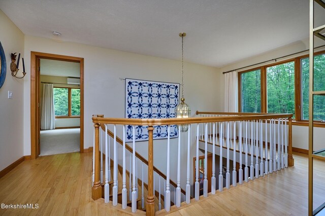 96 Petticoat Hill Rd, Williamsburg, MA 01096 - photo 24