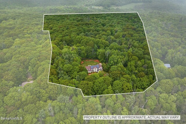 96 Petticoat Hill Rd, Williamsburg, MA 01096 - photo 40