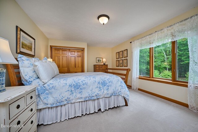 96 Petticoat Hill Rd, Williamsburg, MA 01096 - photo 29