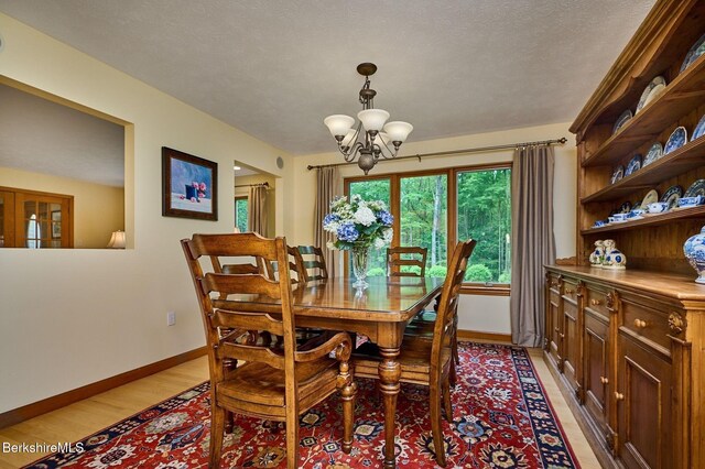 96 Petticoat Hill Rd, Williamsburg, MA 01096 - photo 13