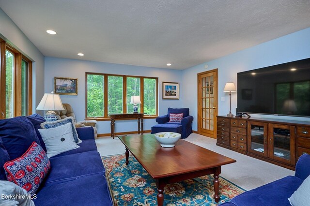96 Petticoat Hill Rd, Williamsburg, MA 01096 - photo 10