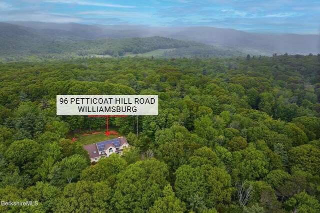 96 Petticoat Hill Rd, Williamsburg, MA 01096 - photo 41