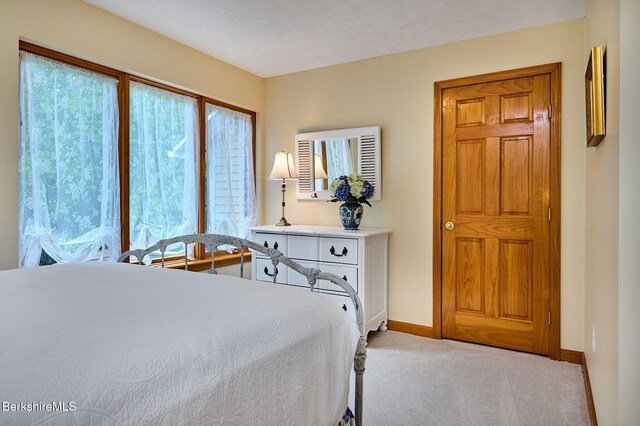 96 Petticoat Hill Rd, Williamsburg, MA 01096 - photo 31