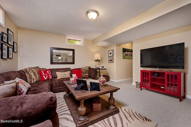 96 Petticoat Hill Rd, Williamsburg, MA 01096 - photo 19