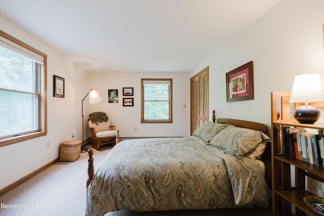 126 Christian Hill Rd, Great Barrington, MA 01230 - bedroom featuring carpet flooring and a closet