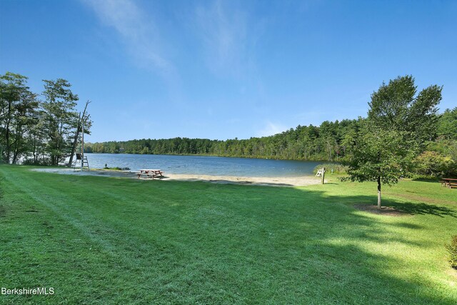 126 Christian Hill Rd, Great Barrington, MA 01230 - water view with a heavily wooded area