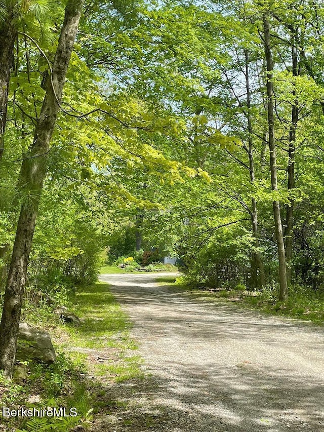 126 Christian Hill Rd, Great Barrington, MA 01230 - view of dirt / gravel road with a wooded view