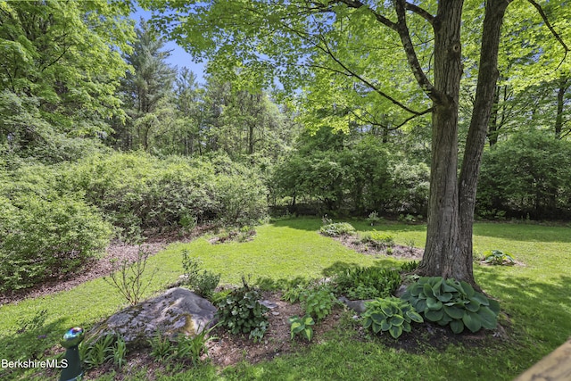 126 Christian Hill Rd, Great Barrington, MA 01230 - view of green lawn