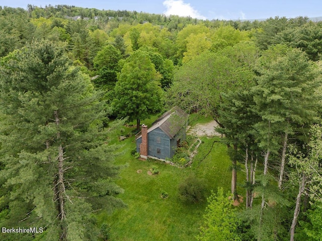 126 Christian Hill Rd, Great Barrington, MA 01230 - view from above of property featuring a forest
