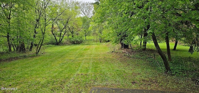 404 N St, Williamstown, MA 01267 - view of green lawn