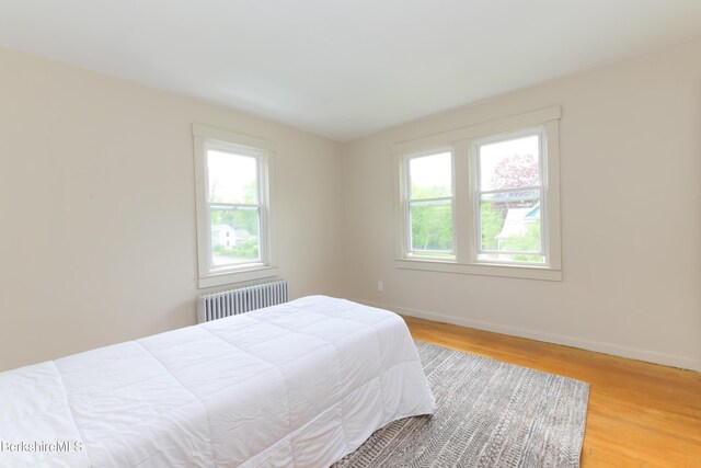 800 Simonds Rd, Williamstown, MA 01267 - bedroom with radiator, multiple windows, light wood-style floors, and baseboards