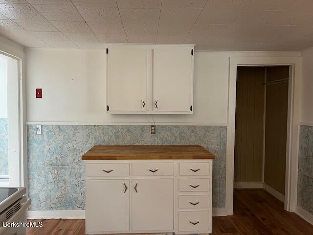 kitchen with white cabinets, wainscoting, dark wood-style flooring, and wood counters