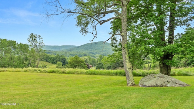611 N State Rd, Cheshire, MA 01225 - photo 63