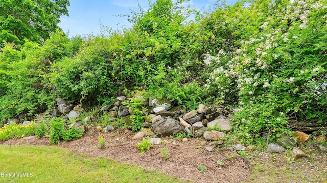 611 N State Rd, Cheshire, MA 01225 - photo 75