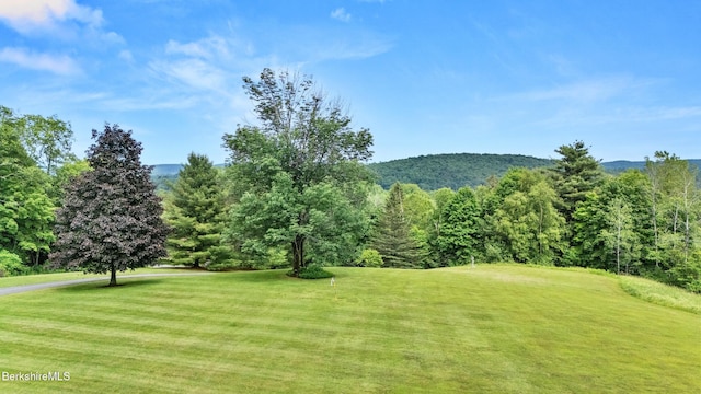 611 N State Rd, Cheshire, MA 01225 - photo 64