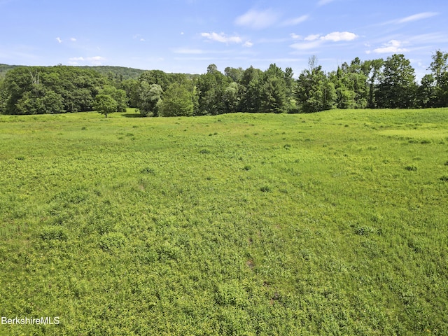 0 Swamp Rd, Richmond, MA 01254