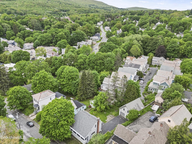 35 Jackson St, North Adams, MA 01247 - photo 29