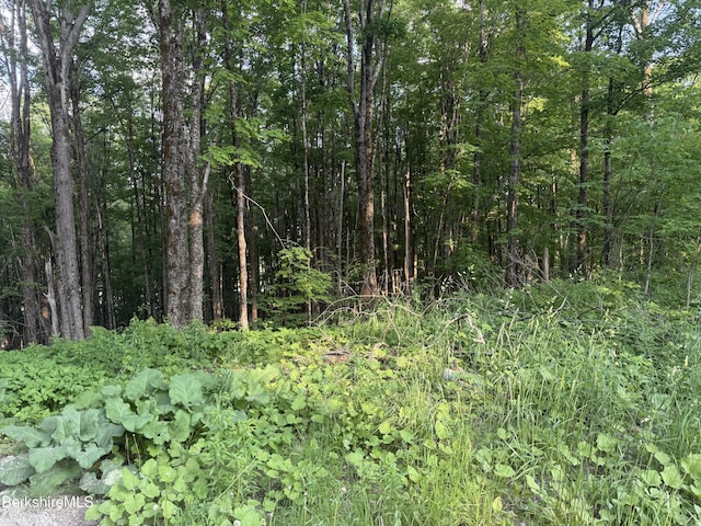LOT5 Watson Rd, Hinsdale, MA 01235
