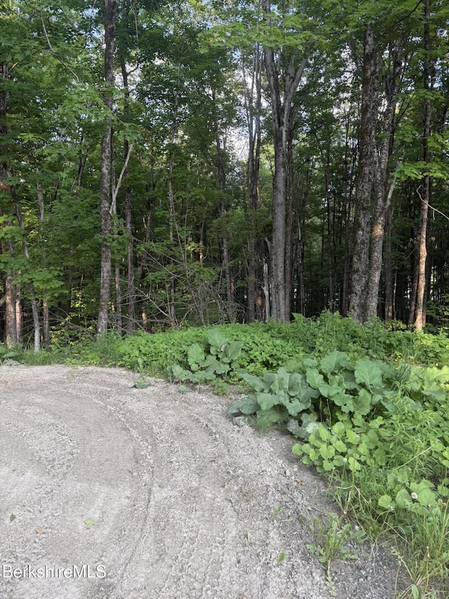 LOT5 Watson Rd, Hinsdale, MA 01235