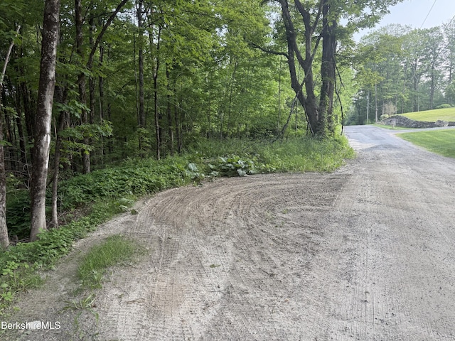LOT5 Watson Rd, Hinsdale, MA 01235