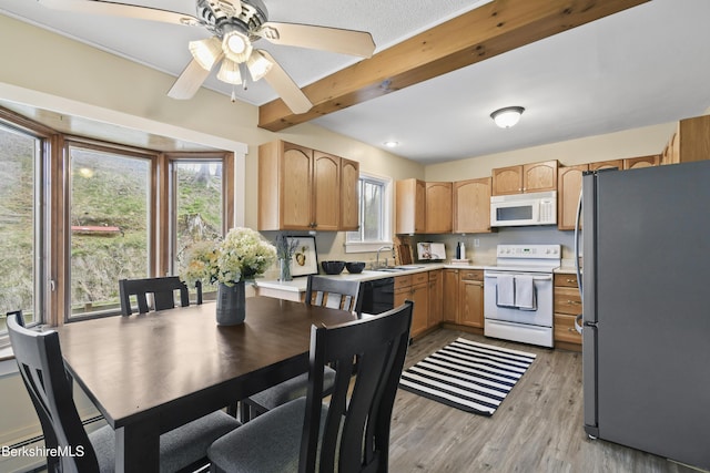 kitchen featuring a ceiling fan, white appliances, a sink, light wood-style floors, and light countertops