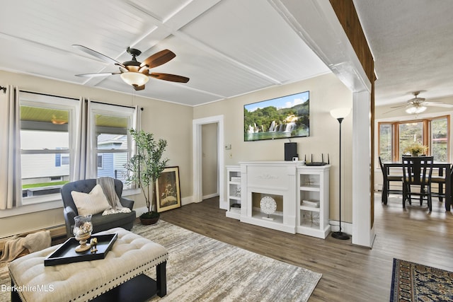 living area with a ceiling fan, plenty of natural light, and wood finished floors